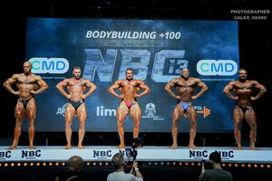 BODYBUILDING +100